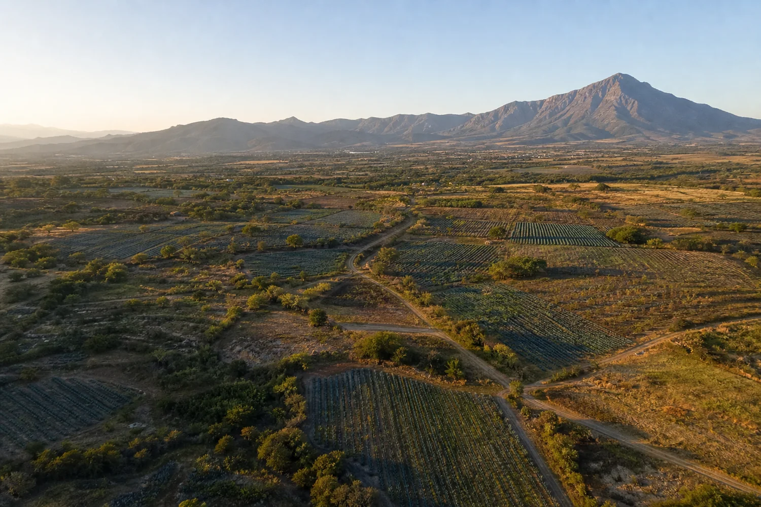 Vista aérea de parcelas rurales y caminos entre montañas